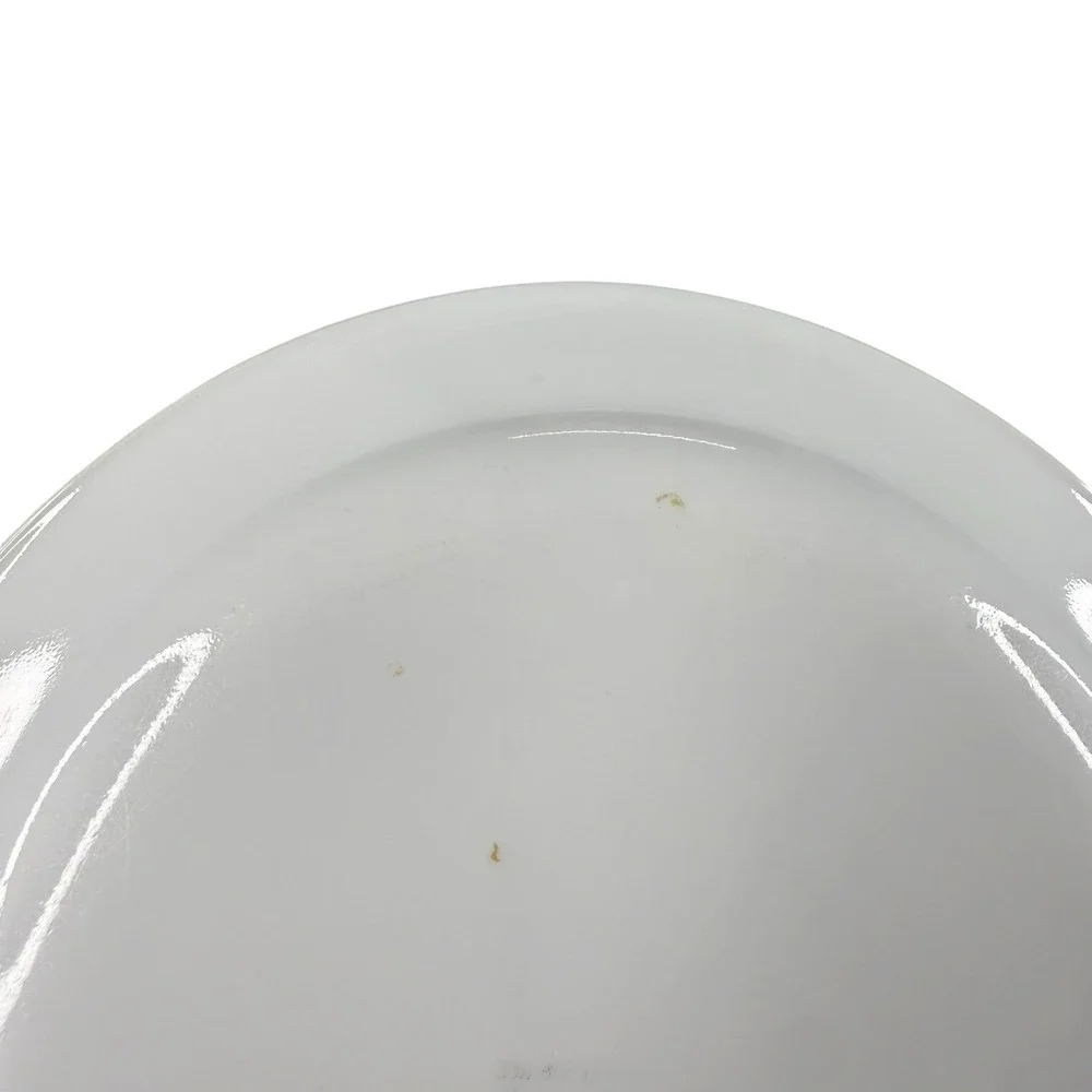 Corelle Shadow Iris Salad plates - Set of 7 - Green Edge - 7.25" Plates - Picture 5 of 6